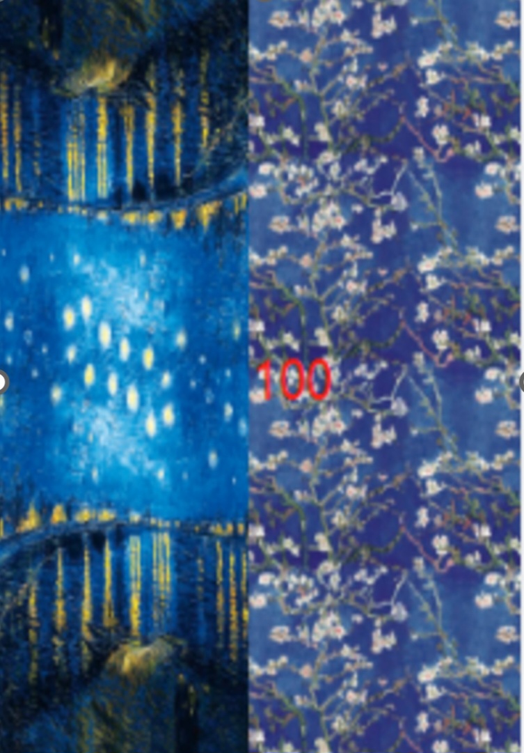 Кашмирен двулицев шал картина 100 Starry night blossom
